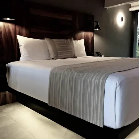 3 Incredible King Suite Rooms In Boutique Hotel